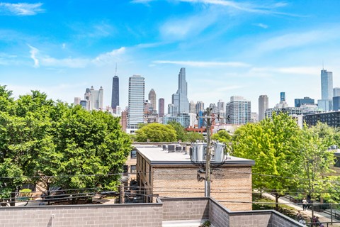 An areal view of the Chicago skyline 