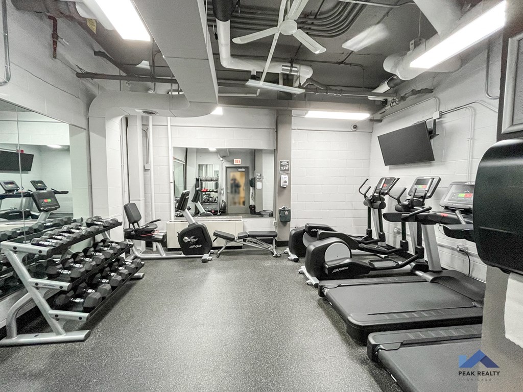 a gym with cardio equipment and weights on the floor