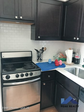1644 N. Kedzie Ave. 2-3 Beds Apartment for Rent - Photo Gallery 3