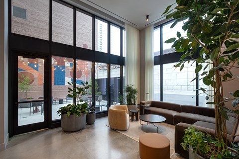 A room with a lot of windows and a few plants.