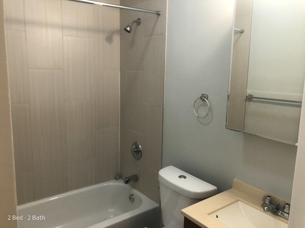 a bathroom with a shower and a sink and a toilet