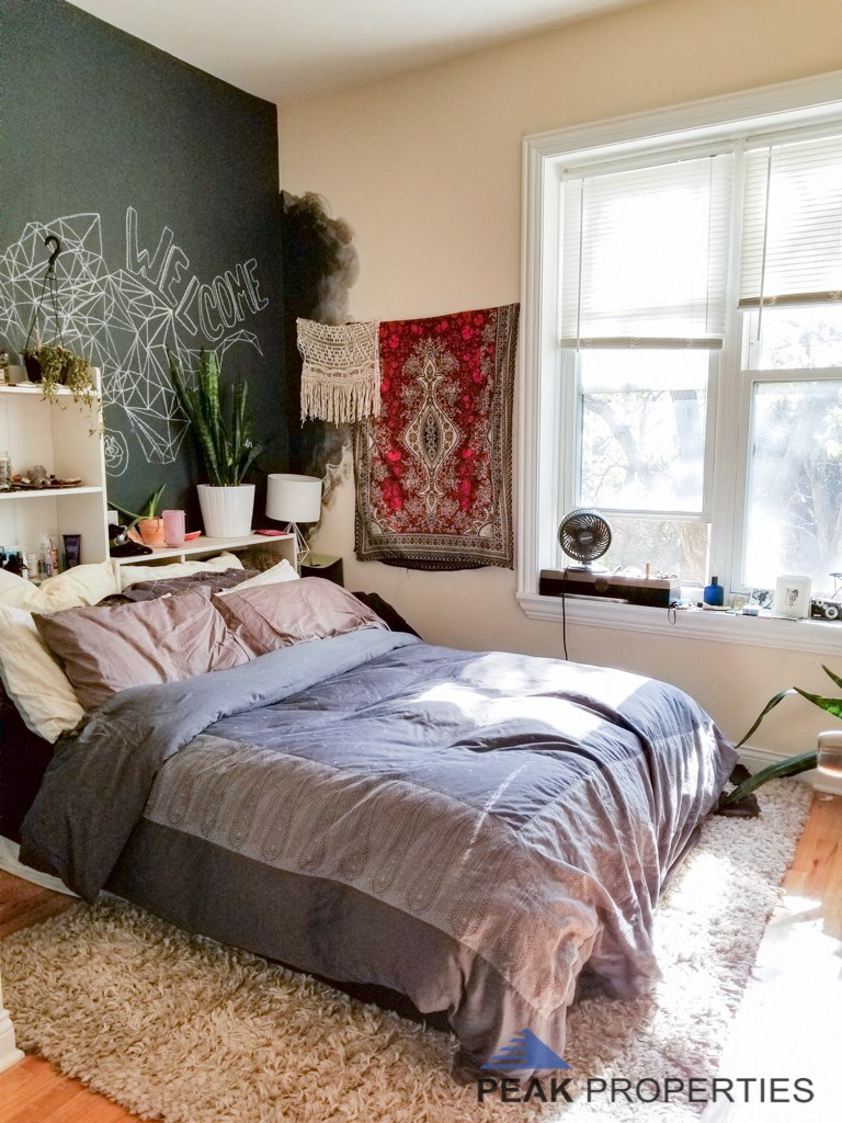 a bedroom with a bed and a chalkboard wall and two windows