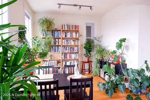 A living room with a bookshelf filled with books and potted plants.