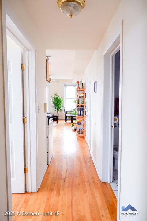 A hallway with a plant and a bookshelf.