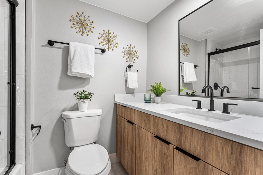 a bathroom with a toilet and a sink and a mirror