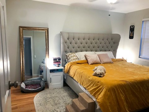 A bedroom with a bed, a mirror, and a dog.