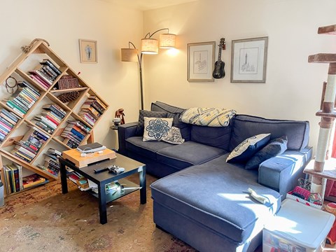 A living room with a blue couch, a coffee table, and a bookshelf filled with books.