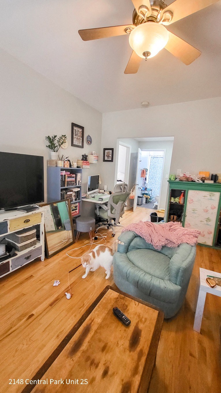 a living room filled with furniture and a cat on a couch