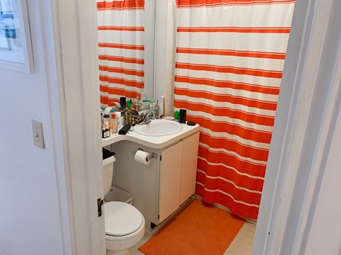 A bathroom with a toilet, sink, and orange shower curtain.