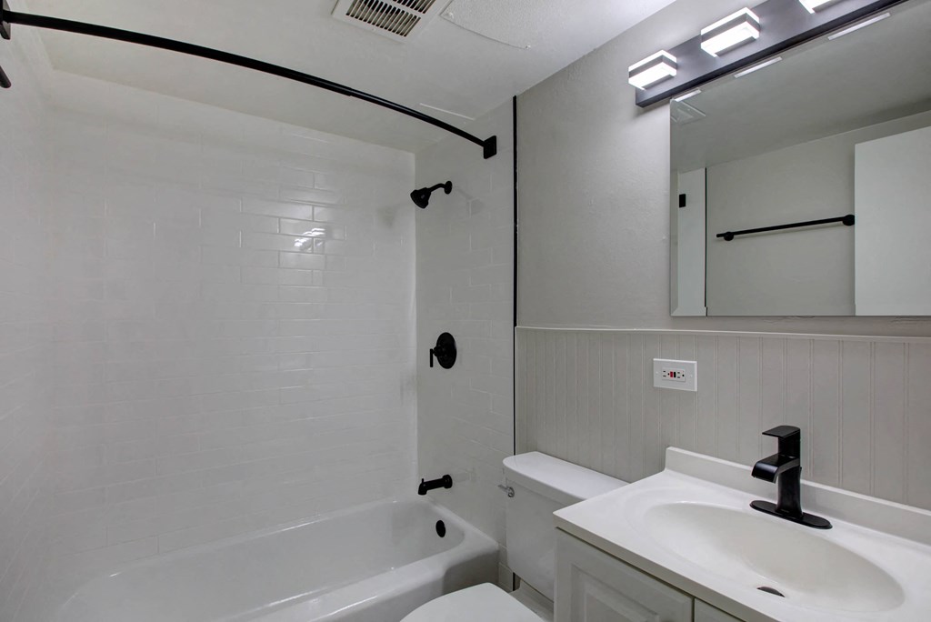 a bathroom with a sink and a toilet and a tub