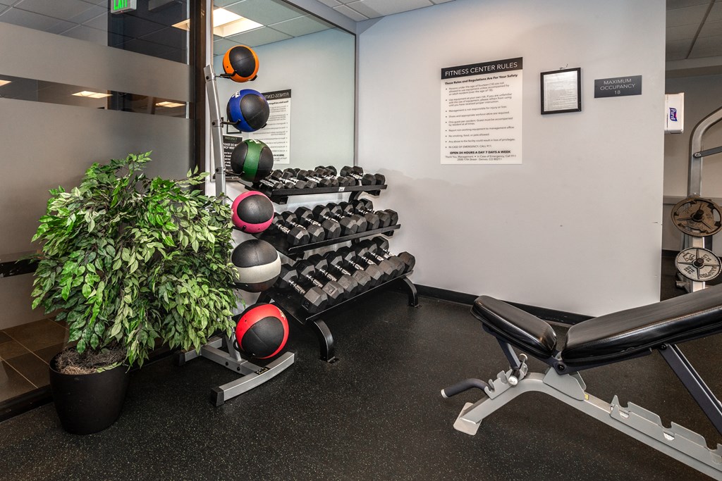 a gym with weights and a plant in the corner