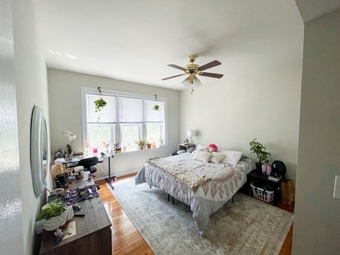 A bedroom with a bed, dresser, and ceiling fan.
