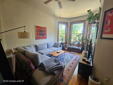 a living room with a gray couch and a rug