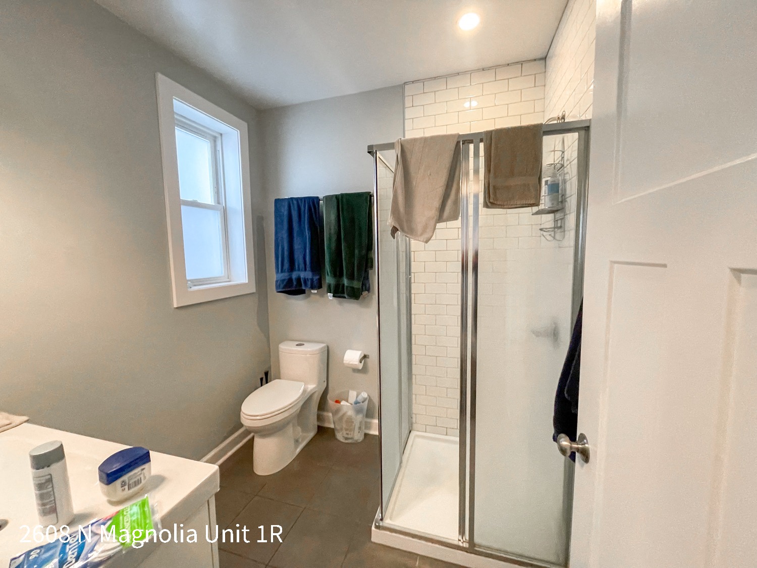 a bathroom with a shower and a toilet and a sink