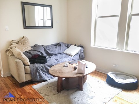 A living room with a couch, coffee table, and a dog bed.
