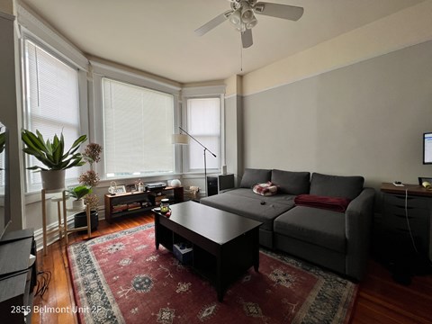 A living room with a grey couch and a red rug.