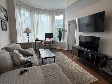 A living room with a grey couch and a black television.