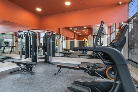 A gym with a variety of equipment including treadmills, weights, and exercise machines.