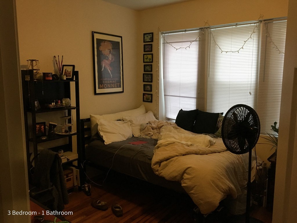 a bedroom with a bed and a fan