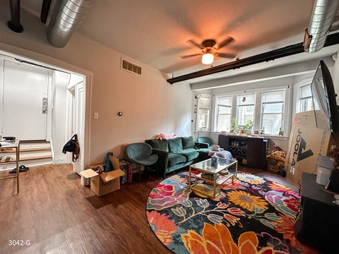 A living room with a green couch and a colorful rug.