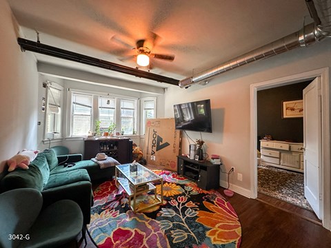A living room with a green couch and a colorful rug.