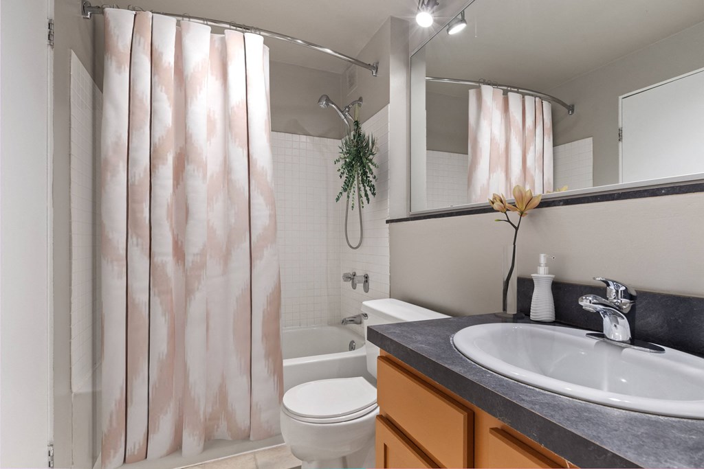 a bathroom with a sink and a toilet and a shower