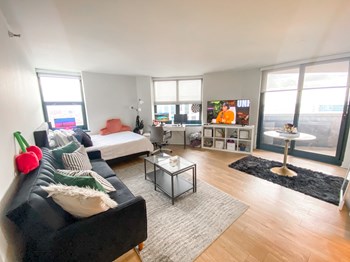 3660 N. Lake Shore Dr. Studio-2 Beds Apartment for Rent - Photo Gallery 2