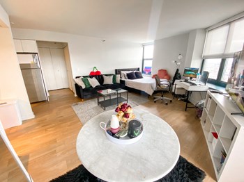 3660 N. Lake Shore Dr. Studio-2 Beds Apartment for Rent - Photo Gallery 6