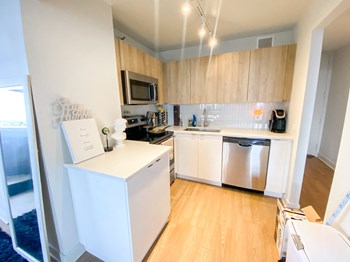 3660 N. Lake Shore Dr. Studio-2 Beds Apartment for Rent - Photo Gallery 4