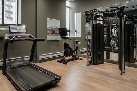 A gym with treadmills, weights, and exercise equipment.