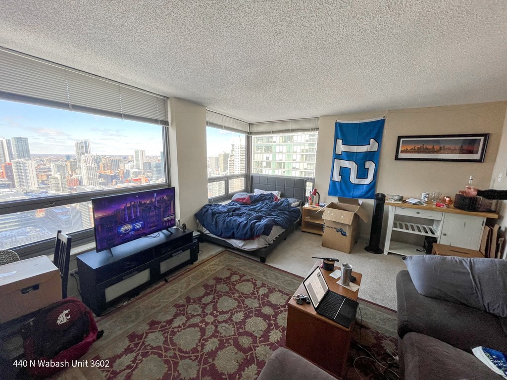 a living room with a couch and a bed and a tv