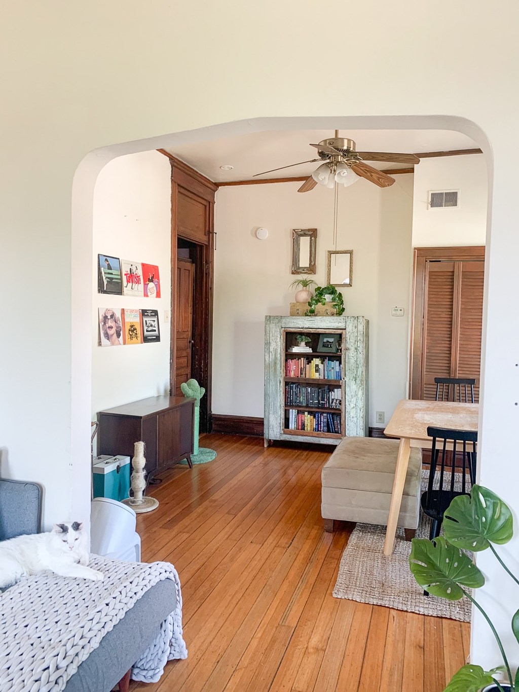 A living room with a grey couch and a white cat on it.