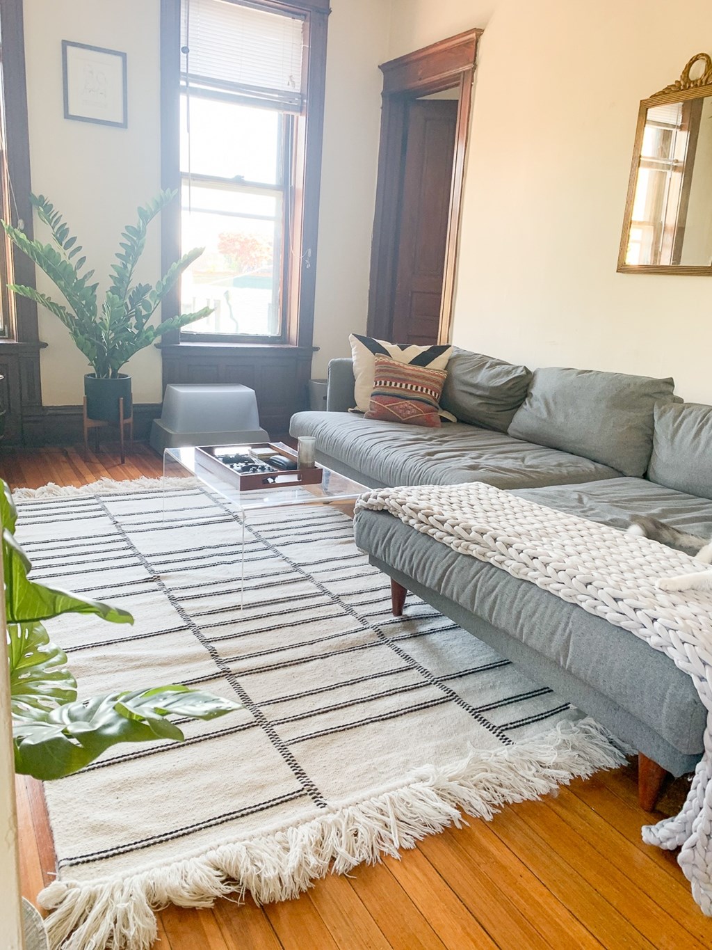A living room with a grey couch and a rug.