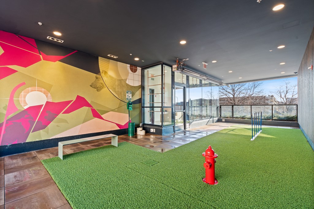 an indoor dog run and area