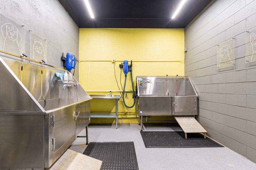 A dog spa with two stainless steel sinks at 1250 LaSalle in Chicago, IL