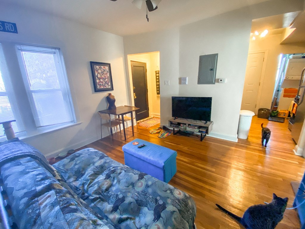 a living room with a couch and a cat and a tv