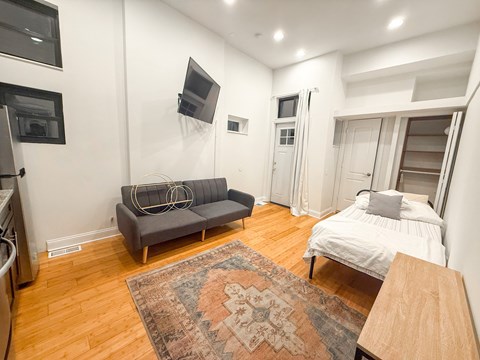 A living room with a grey couch and a rug.