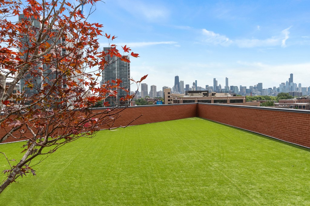 a grassy roof terrace with a view of the chicago skyline