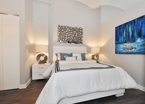 Library Lofts South Loop Chicago  1 Bed - 1 Bath