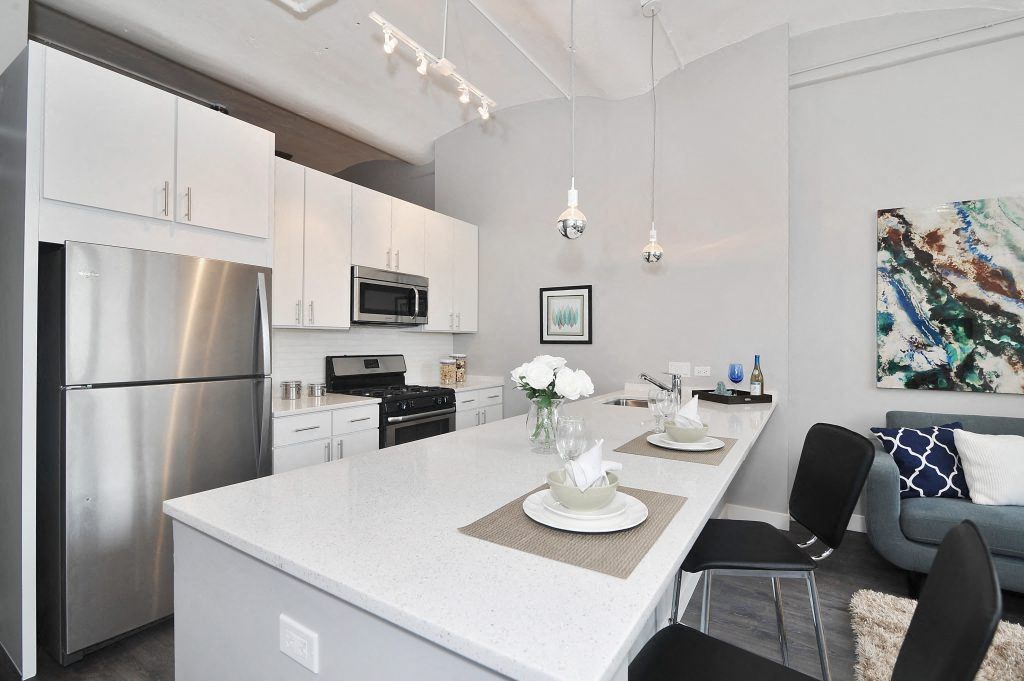 Library Lofts South Loop Chicago  1 Bed - 1 Bath