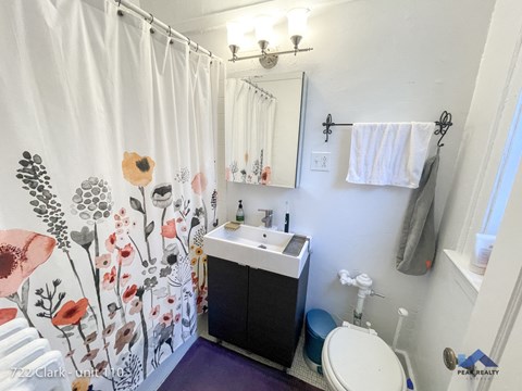 a bathroom with a shower curtain and a sink and a toilet