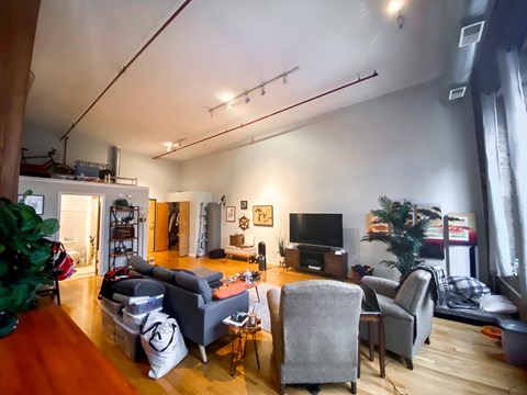 A living room with a grey couch, a television, and a Christmas tree.