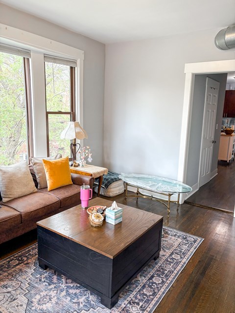 A living room with a brown sofa and a coffee table.
