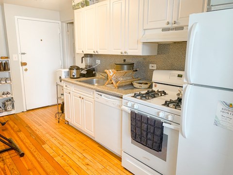 959 W. Webster 2 Beds Apartment for Rent