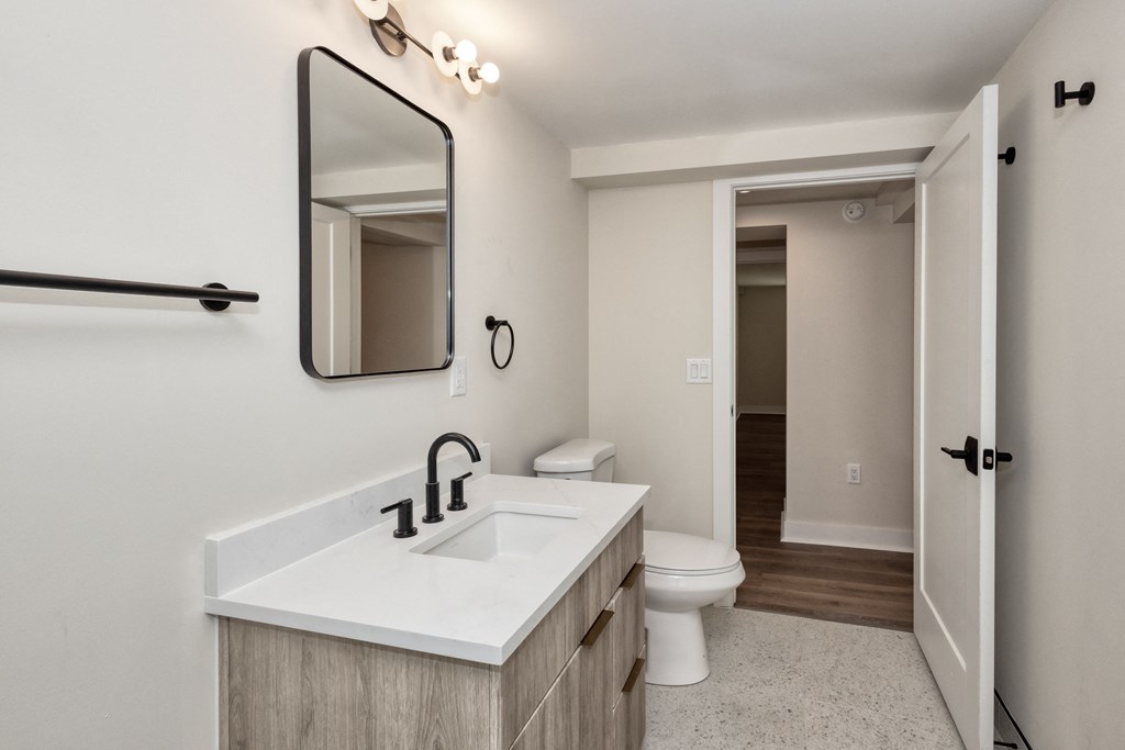a bathroom with a sink and a toilet and a mirror