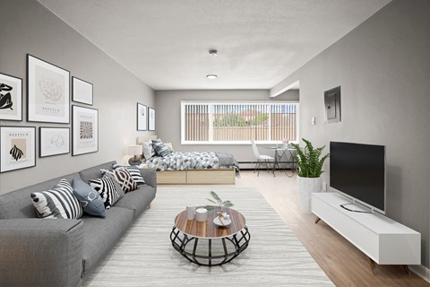 A living room with a grey couch, a coffee table, and a flat screen TV.