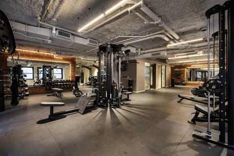 A gym with a variety of equipment including a squat rack, bench, and weights.