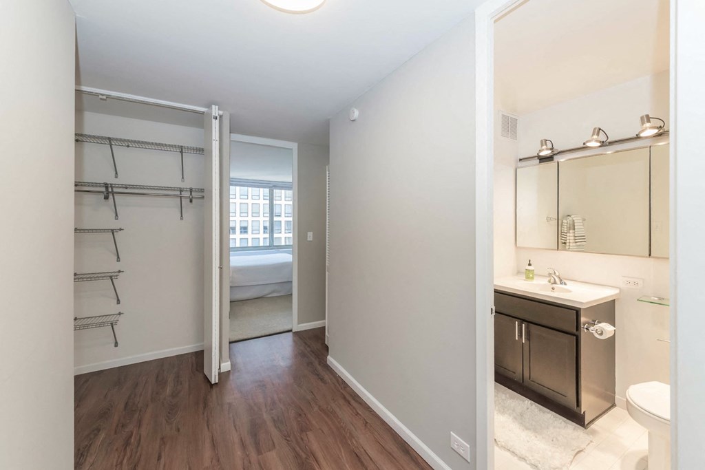 a bathroom with a sink and a mirror and a closet