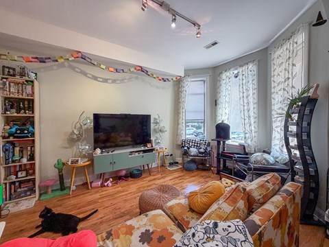 A living room with a black cat on the floor.