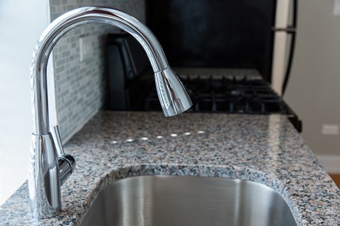 A kitchen sink with a chrome faucet.